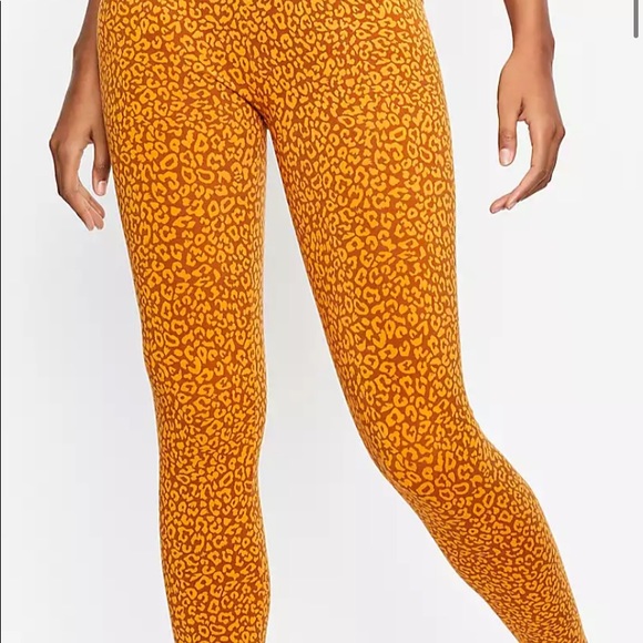 NWT!  Ann Taylor legging set. Top and bottoms. Leopard print. PRICE DROP 🤩 - Picture 3 of 3